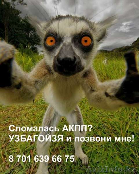 Ремонт АКПП Алматы - Изображение #1, Объявление #1061484