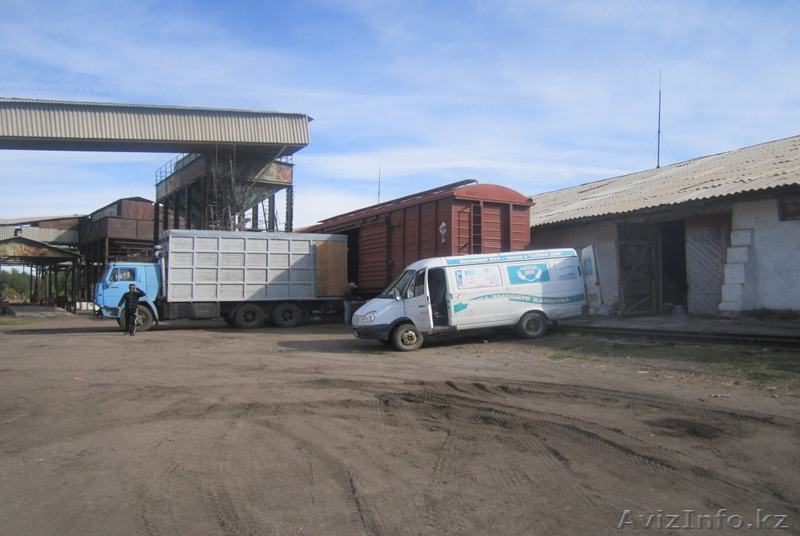 МУКОМОЛЬНЫЙ КОМБИНАТ - Изображение #1, Объявление #1059947