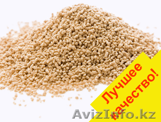 Чеснок сушеный гранулированный оптом и в розницу - Изображение #1, Объявление #1060724