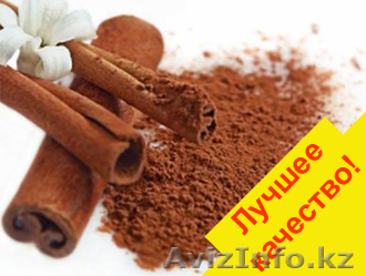 Корица молотая оптом и в розницу - Изображение #1, Объявление #1060736