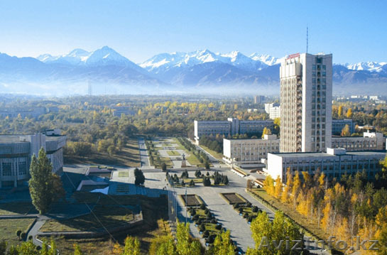 Бесплатная юридическая консультация Алматы при КазНУ им. аль-Фараби - Изображение #1, Объявление #1094955