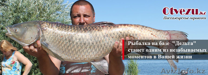 Услуги пассажирских перевозок по городу Алматы - Изображение #1, Объявление #1086132