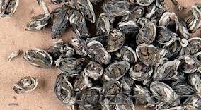 Китайский чай Глаз Феникса в Алматы - Изображение #1, Объявление #1095245