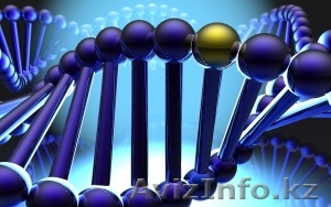 Целитель. Лечение заболеваний.  - Изображение #1, Объявление #1105042