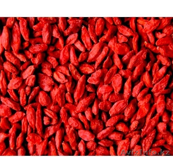 ЧУДО - ЯГОДЫ ГОДЖА ТИБЕТА - Изображение #1, Объявление #1109486