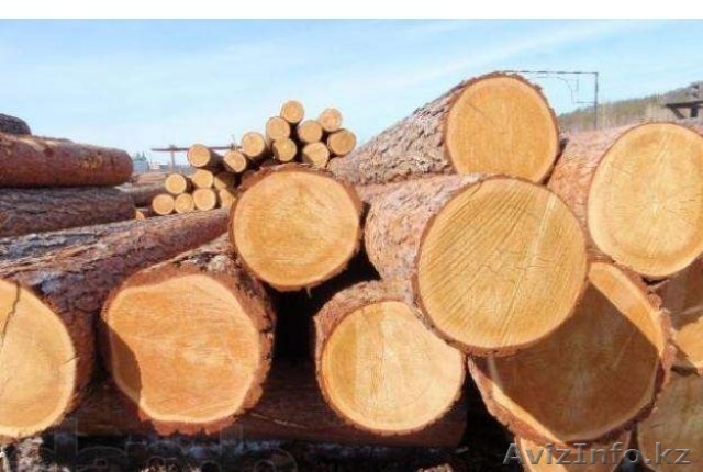  Продам лес. Россия. от 100 кубов. Кругляк - Изображение #1, Объявление #1109247