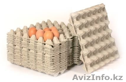 Оборудование для производства яичных лотков - Изображение #1, Объявление #1112902