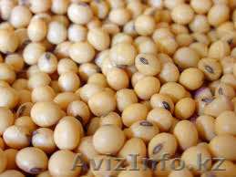 соя бобы дикабик - Изображение #1, Объявление #1116480