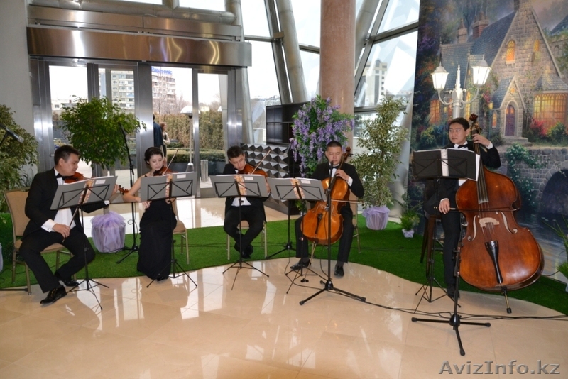 Струнный квинтет «Kvinta» - Изображение #1, Объявление #1124680