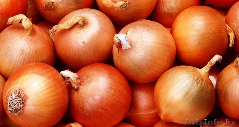 лук свежи пияз  - Изображение #1, Объявление #1149657
