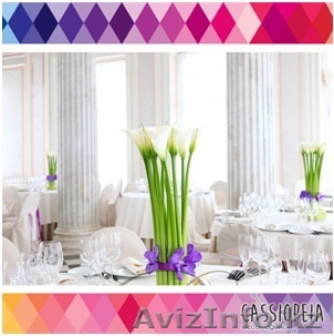 Оформление мероприятии любой сложности по городу Алматы. - Изображение #1, Объявление #1173660