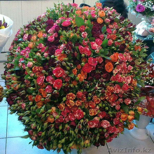 101 спрей роза 70 см - Изображение #1, Объявление #1190895