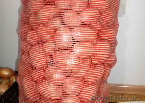 продам картофель2014 - Изображение #1, Объявление #1189794