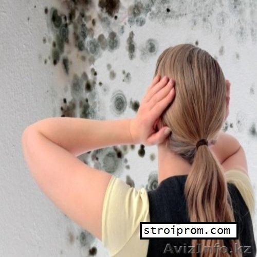 Устранение плесени на стенах в Алматы - Изображение #1, Объявление #1189702
