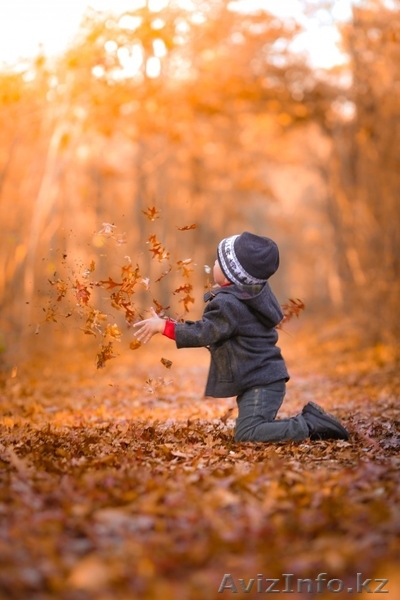 Математика для школьников, домашние работы,контрольные. - Изображение #1, Объявление #1202901