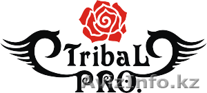 Студия танцев Алматы. Tribal. - Изображение #1, Объявление #1207442