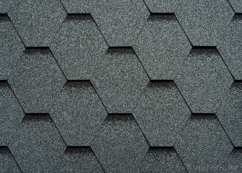 Гибкая черепица "Ruflex" SOTA - Лишайник - Изображение #1, Объявление #1205841