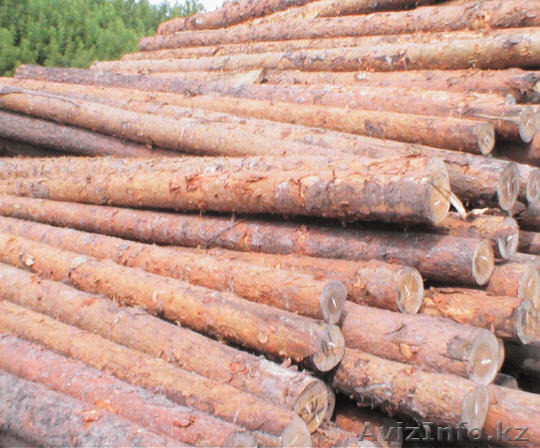 рудстойка (стойка рудничная) - Изображение #1, Объявление #1220989