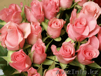 Цветы!ЦВЕТЫ! цветы на 8 Марта! - Изображение #1, Объявление #1218445