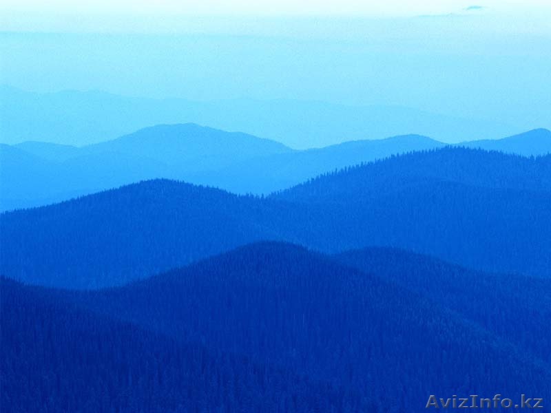  С Р О Ч Н О    Д О М  - Изображение #1, Объявление #1231424