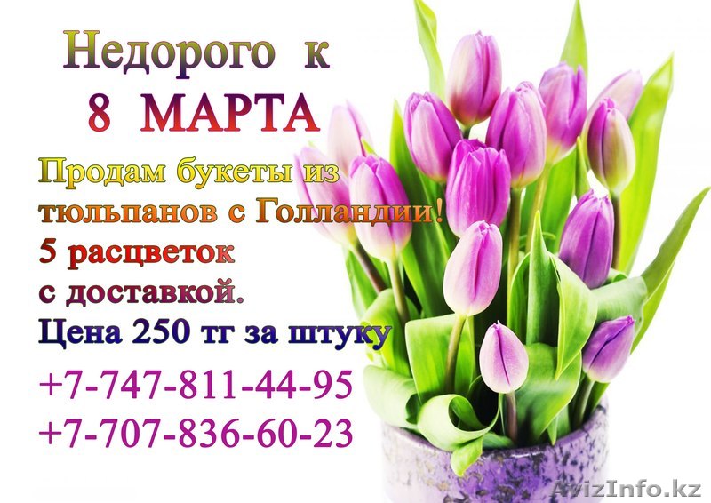 Цветы к 8 МАРТА!  - Изображение #1, Объявление #1229020
