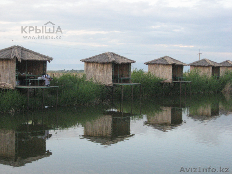 Рыбалка в Алматы - Изображение #1, Объявление #1244476