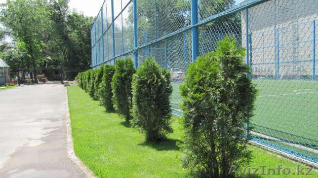 Посев газона, благоустройство территории - Изображение #1, Объявление #1251246