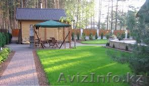 Посев газонов, посадка живой изгороди, из туи, карагача, посадка деревьев, куста - Изображение #1, Объявление #1251243