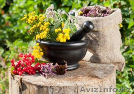 Противопаразитарный комплекс широкого спектра действия "Здоровье". Алматы.  - Изображение #1, Объявление #1255373