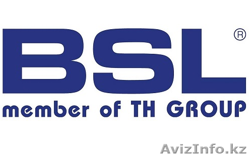 Запчасти к грузовому транспорту европейского производства BSL (Польша) - Изображение #1, Объявление #1263071