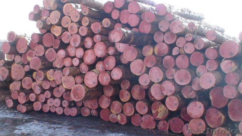 Лес кругляк - бревно  - Изображение #1, Объявление #1259299