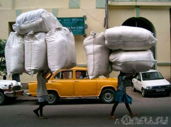 Услуги Наёмных Грузчиков С Ремнями  - Изображение #1, Объявление #1261312