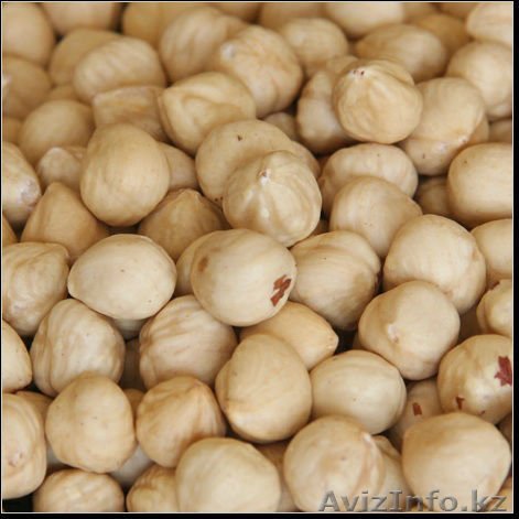 продам фундук, класс экстра 11-13, жареный - Изображение #1, Объявление #1262720
