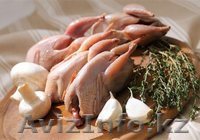 Перепела, продам - Изображение #1, Объявление #1270758