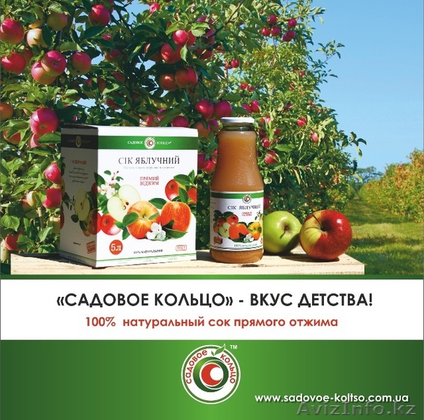 Продам яблочный сок  - Изображение #1, Объявление #1282691