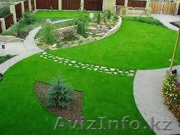 чернозем, газон - Изображение #1, Объявление #1295177