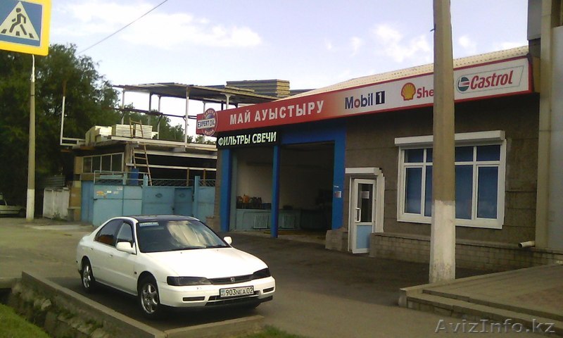 Замена масла в Expert Oil - Изображение #1, Объявление #1283552