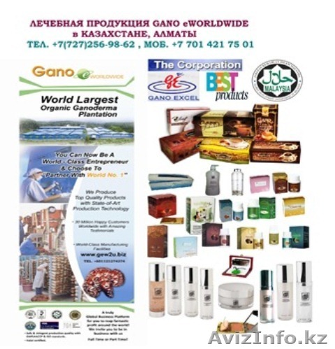 Проект «Мекка и Медина» - Изображение #1, Объявление #1300925