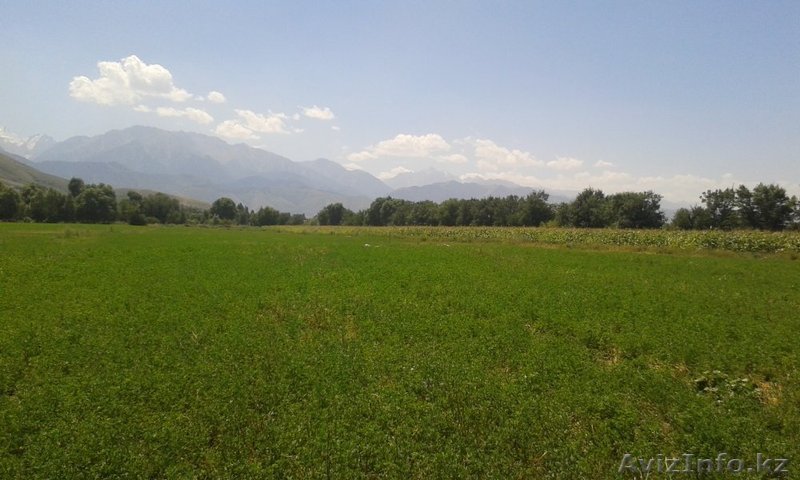 участок 50 соток в г. Талгар, р-н Инкубатора - Изображение #1, Объявление #1125280