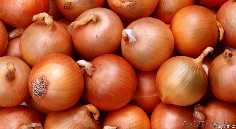 лук репчатый, голландского сорта Манас - Изображение #1, Объявление #1326004