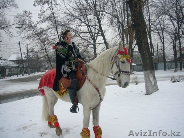 конь, пони, трон, тамада - Изображение #1, Объявление #1329853