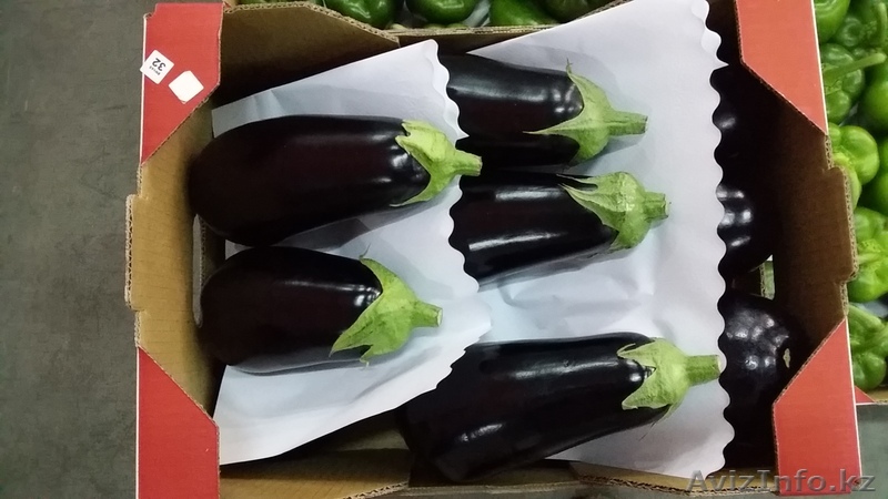 Баклажаны из Испании - Изображение #1, Объявление #1328785