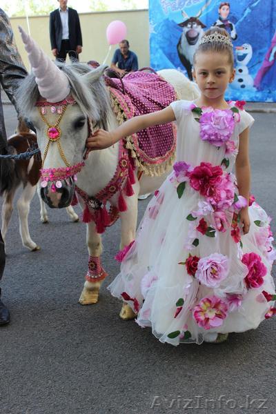 конь и   маленькая лошадка пони,  - Изображение #1, Объявление #1329854