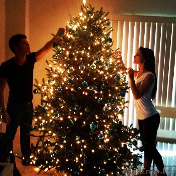 Сыграй с нами и получи Елку - Изображение #1, Объявление #1335511