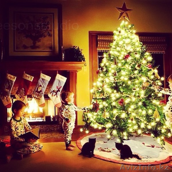 Купи Елку вместе с настроением! - Изображение #1, Объявление #1335505