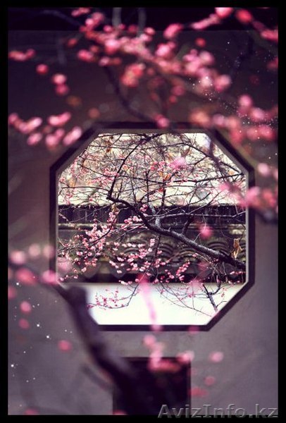 Китайский язык с НОСИТЕЛЕМ от Open Door! - Изображение #1, Объявление #1339234