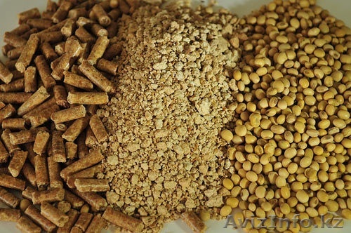 Поставки кормов и кормовых добавок для сх животных - Изображение #1, Объявление #1338810