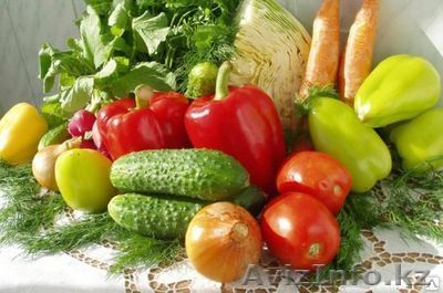 Капельное орошение овощных культур под ключ - Изображение #1, Объявление #1237991