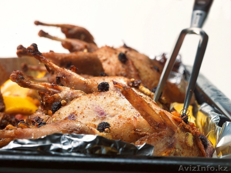 Продаю перепелиное мясо оптом  - Изображение #1, Объявление #1353157