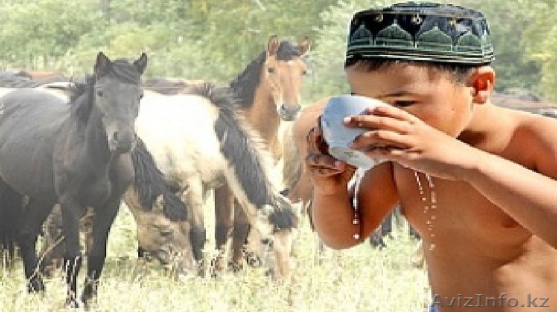 Саумал (Кумыс, Кымыз) Алматы (кобылье молоко - свежевыдоенный) доставка на дом,  - Изображение #1, Объявление #1346529